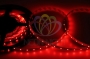 LED лента открытая, IP23, SMD 3528, 60 диодов/метр, 12V, цвет светодиодов красный Neon-Night