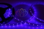 LED лента открытая, IP23, SMD 3528, 60 диодов/метр, 12V, цвет светодиодов синий Neon-Night