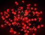 Гирлянда "LED - шарики", O17,5мм, 20 м, цвет свечения красный, 220В, Neon-Night