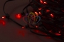 Гирлянда "LED ClipLight" 12V 300 мм  красный с трансформатором Neon-Night