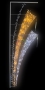 Фигура световая "Салют", 480 светодиодов 48м дюралайта, размер 225*75см Neon-Night