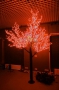 Светодиодное дерево "Сакура", высота 1,5м, диаметр кроны 1,8м, красные светодиоды, IP 65, понижающий трансформатор в комплекте Neon-Night