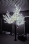 Светодиодное дерево "Сакура", высота 1,5м, диаметр кроны 1,8м, белые светодиоды, IP 65, понижающий трансформатор в комплекте Neon-Night