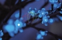 Светодиодное дерево "Сакура", высота 2,4м, диаметр кроны  2,0м, синие светодиоды, IP 65, понижающий трансформатор в комплекте Neon-Night