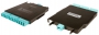 Волоконно-оптическая кассета, LC- MTP (LC адаптеры- голубые, MTP адаптер - черный), 12 волокон, одномод, черная Siemon